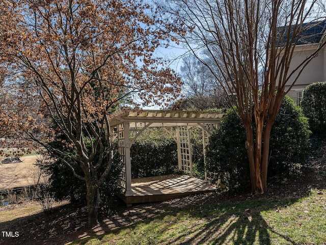 view of yard featuring a pergola