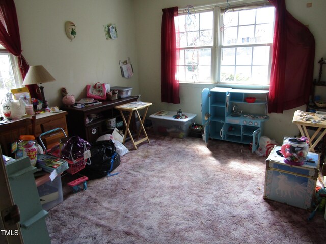carpeted bedroom with multiple windows