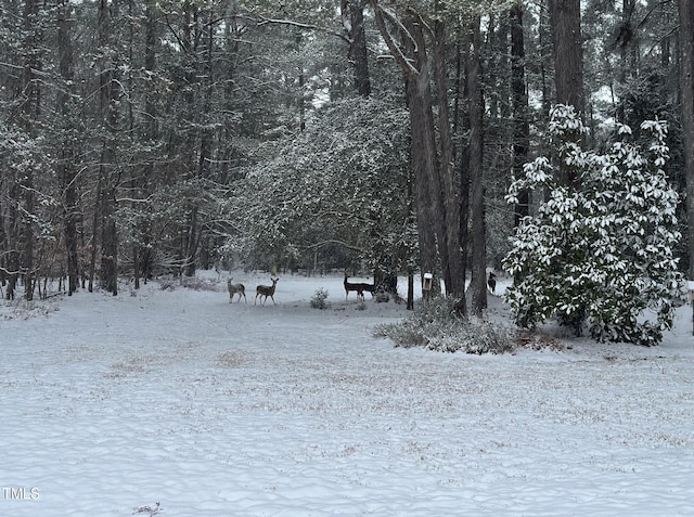 yard covered in snow with a wooded view