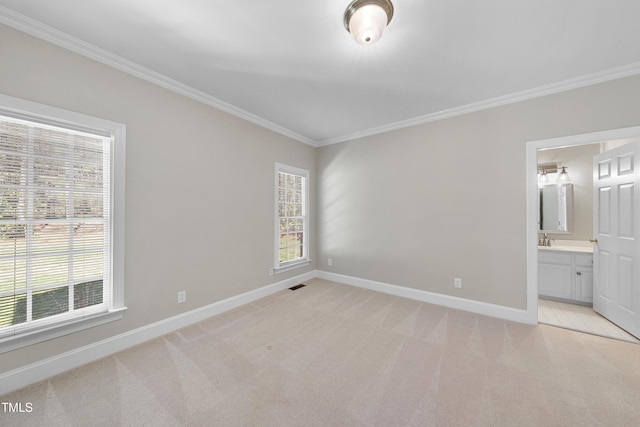 unfurnished bedroom featuring multiple windows, light colored carpet, and ornamental molding