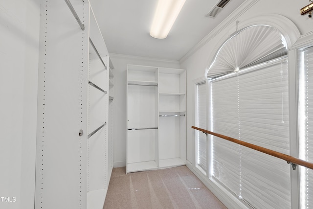 spacious closet featuring light colored carpet and visible vents