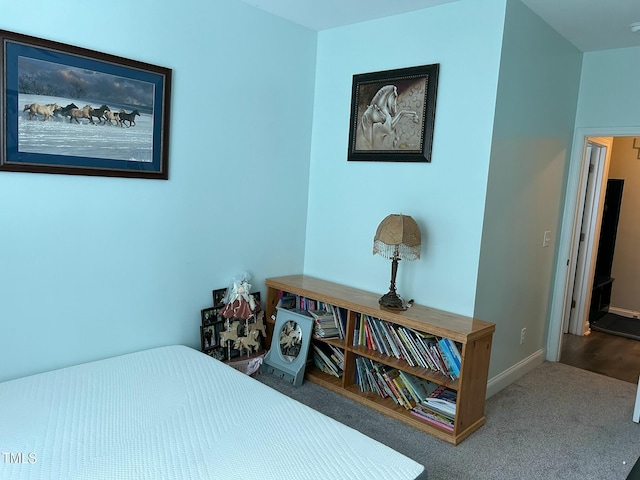 bedroom featuring carpet flooring