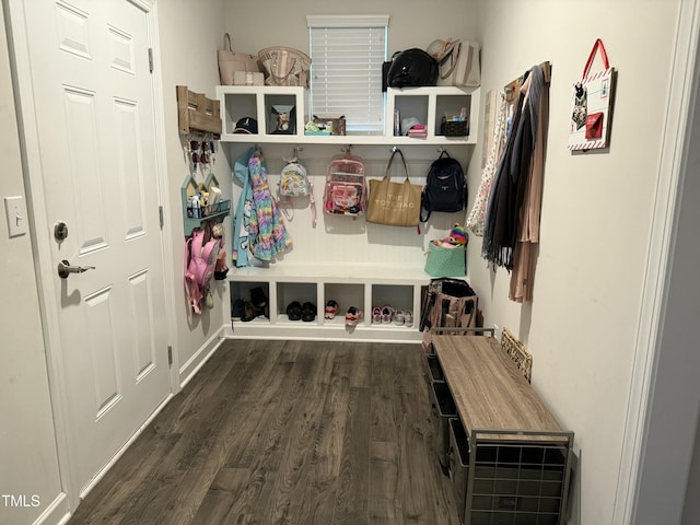 mudroom featuring dark wood finished floors