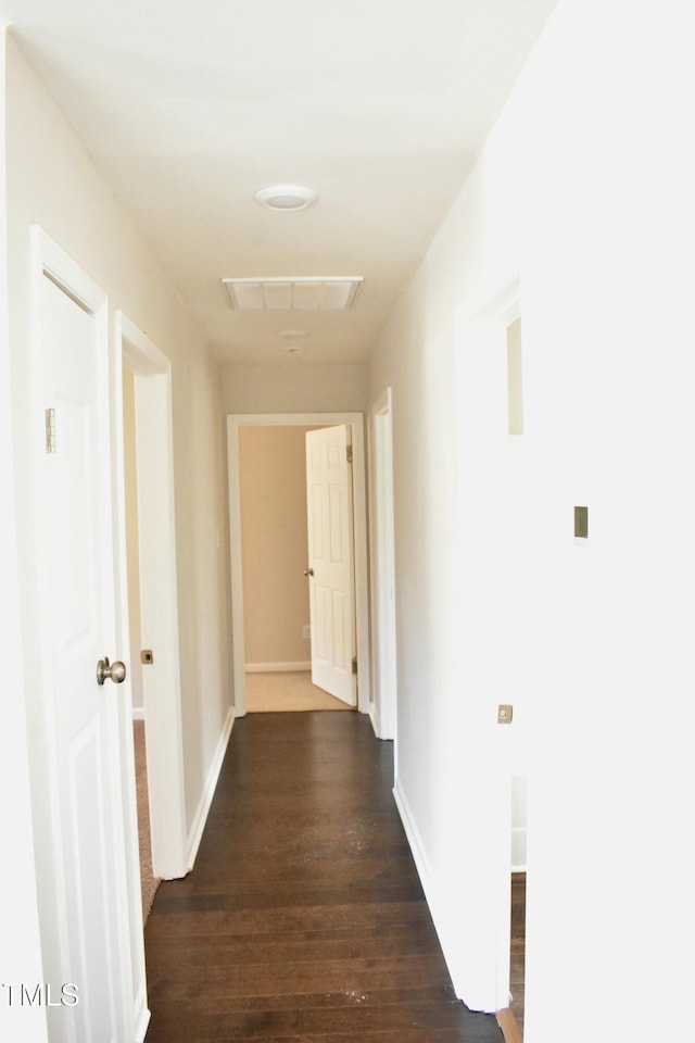 hallway featuring dark wood-type flooring