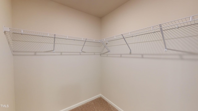 spacious closet with carpet flooring