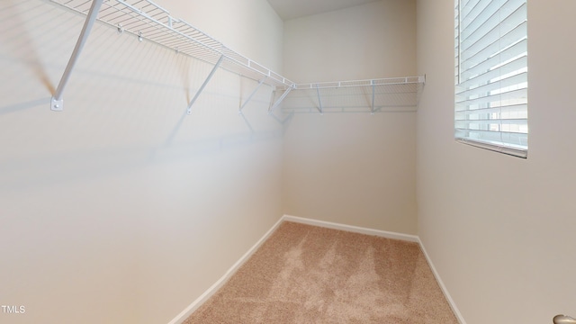 walk in closet with light carpet