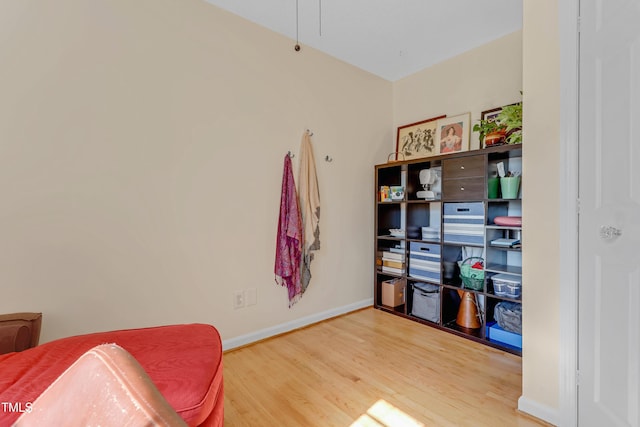 interior space featuring hardwood / wood-style flooring