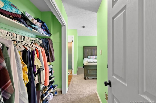 spacious closet with light colored carpet