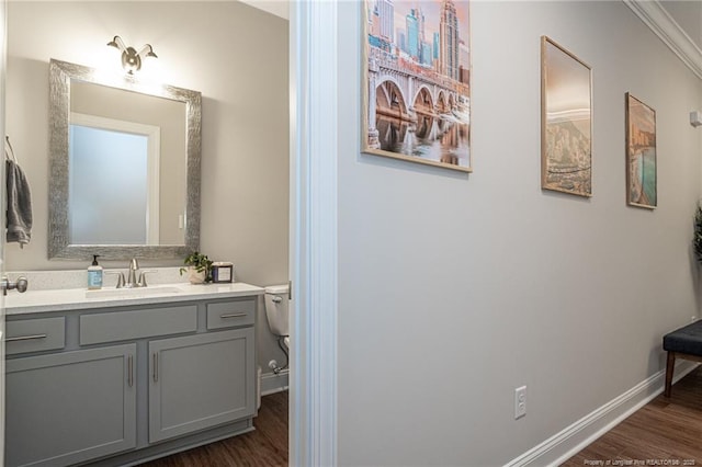 bathroom with vanity, wood-type flooring, and toilet