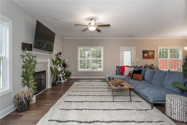 living room with a wealth of natural light, ornamental molding, and dark hardwood / wood-style floors