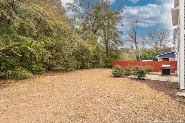 view of yard with a patio