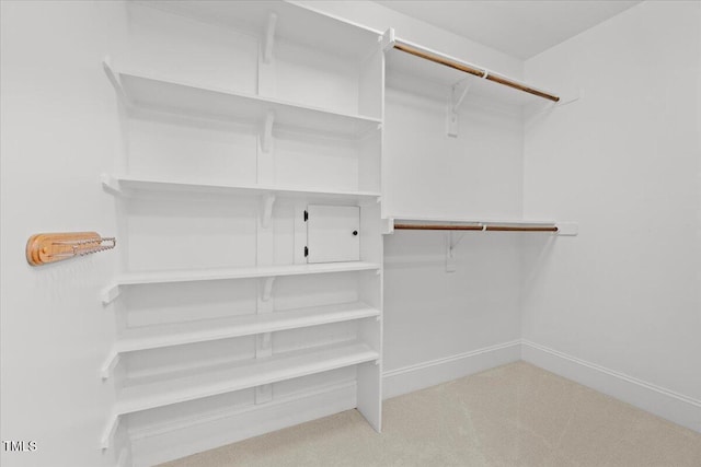 spacious closet with carpet flooring