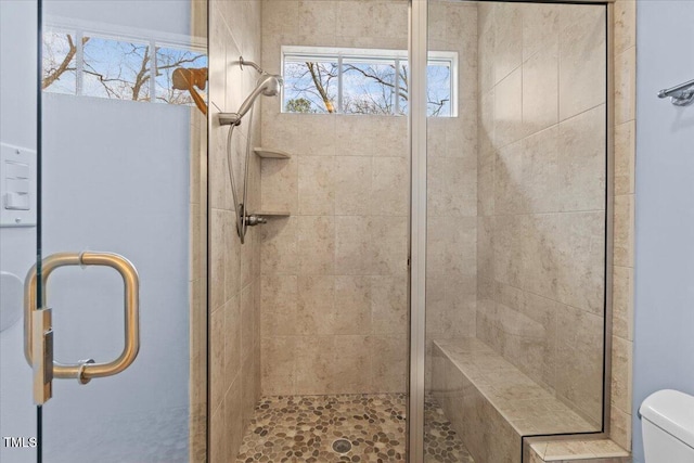 bathroom featuring toilet and a shower stall