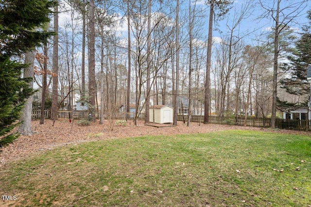 view of yard with a storage unit