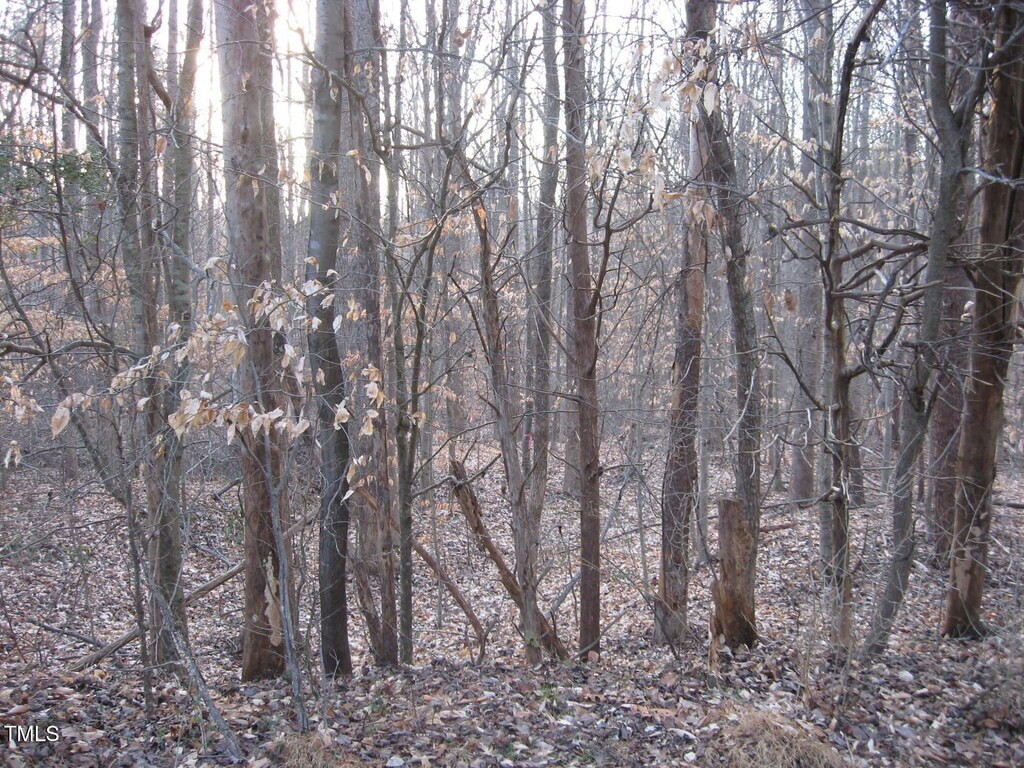 Tbd Creek Point Place, Graham, NC 27253