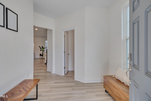 entrance foyer featuring light hardwood / wood-style flooring