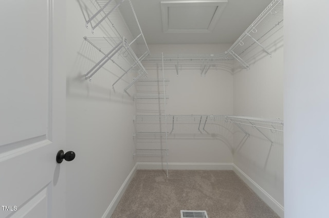 walk in closet featuring carpet