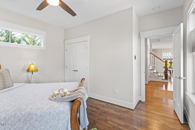 bedroom with ceiling fan, dark hardwood / wood-style flooring, and a closet