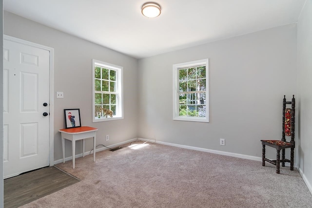 interior space featuring plenty of natural light and carpet