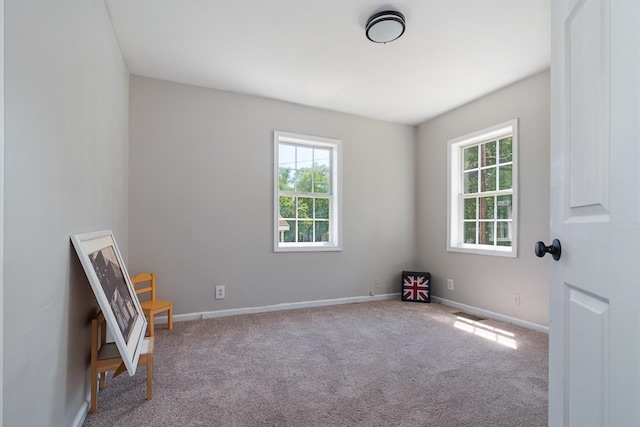 unfurnished room with carpet floors and a healthy amount of sunlight