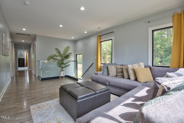 living room featuring wood-type flooring