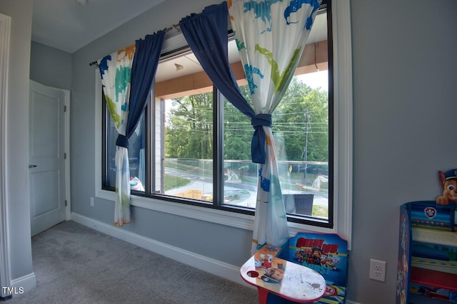 recreation room with carpet floors