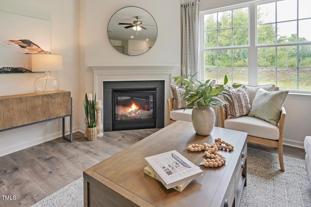 living area with light hardwood / wood-style flooring