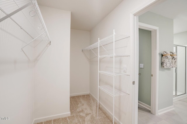 spacious closet with light carpet