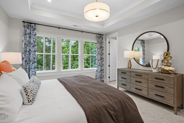 carpeted bedroom featuring a raised ceiling