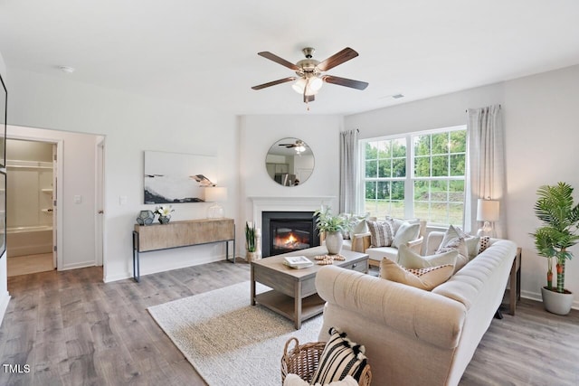 living room with ceiling fan and light wood-type flooring