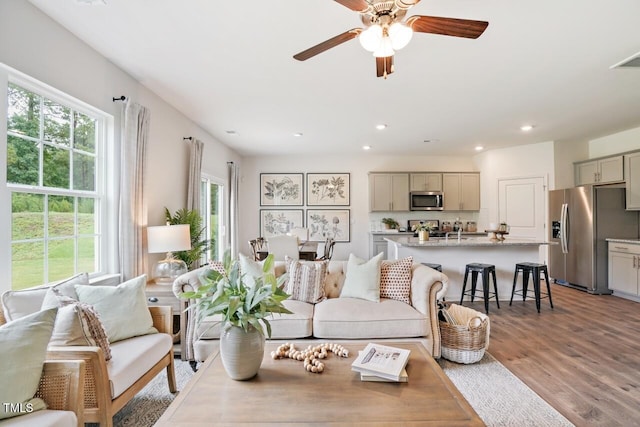 living room with ceiling fan and light wood-type flooring