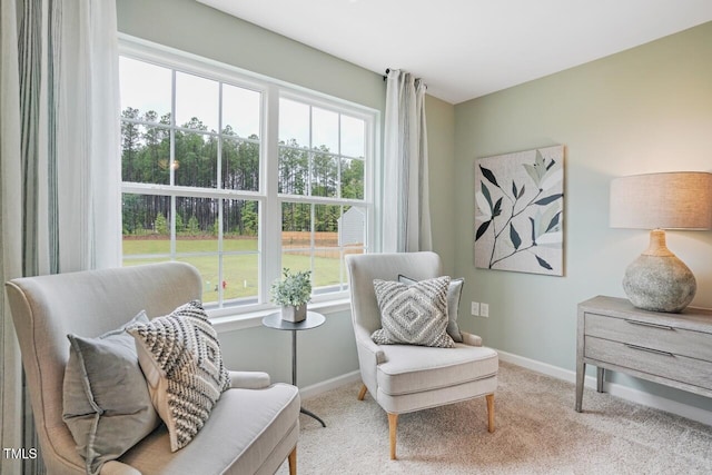 living area featuring carpet