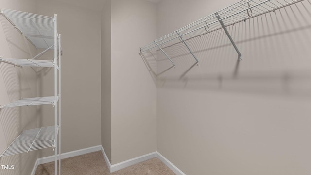 spacious closet with carpet