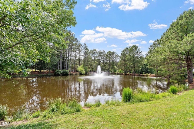 10014 Hammock Bnd, Chapel Hill, NC 27517 - water view with a forest