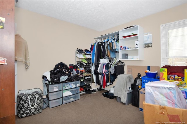 walk in closet featuring carpet