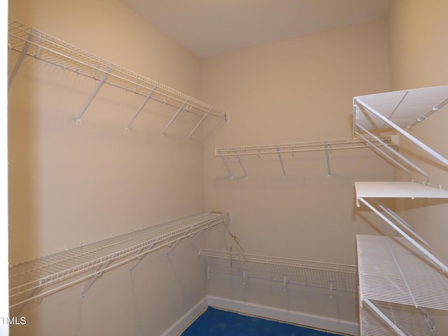 view of spacious closet