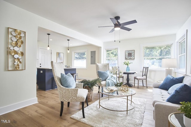 living room featuring light hardwood / wood-style flooring, electric panel, and ceiling fan