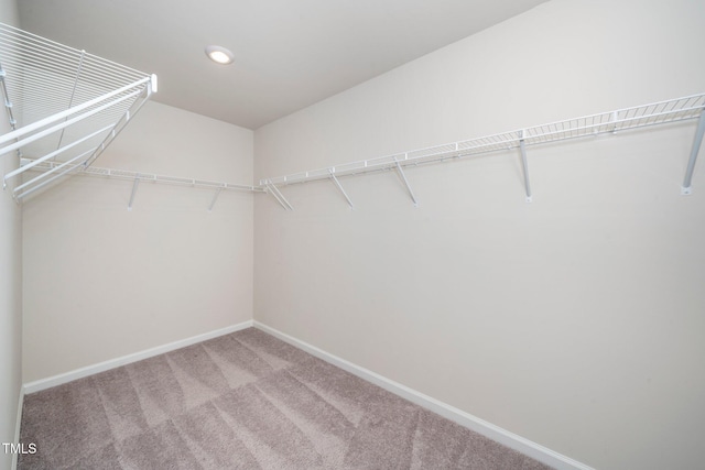 walk in closet featuring carpet