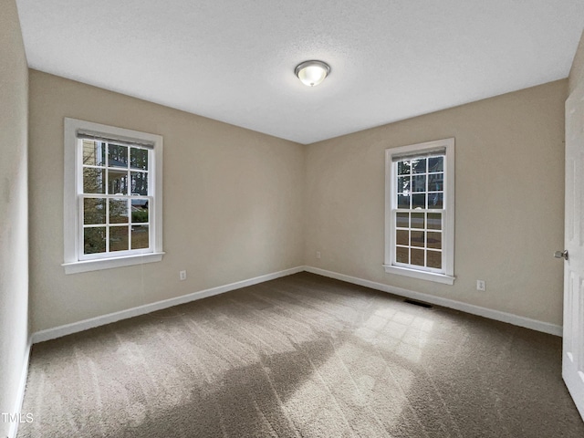 unfurnished room with carpet and a textured ceiling