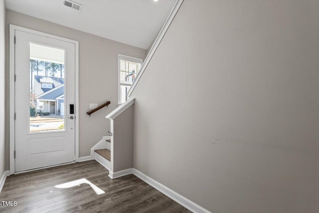 foyer featuring dark wood-type flooring