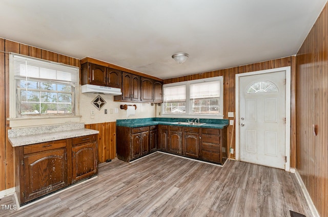 kitchen featuring sink, a wealth of natural light, wood walls, and light wood-type flooring