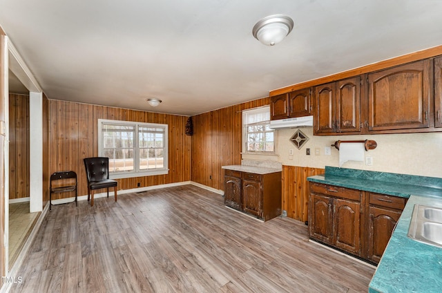 kitchen with sink, light hardwood / wood-style floors, and wood walls