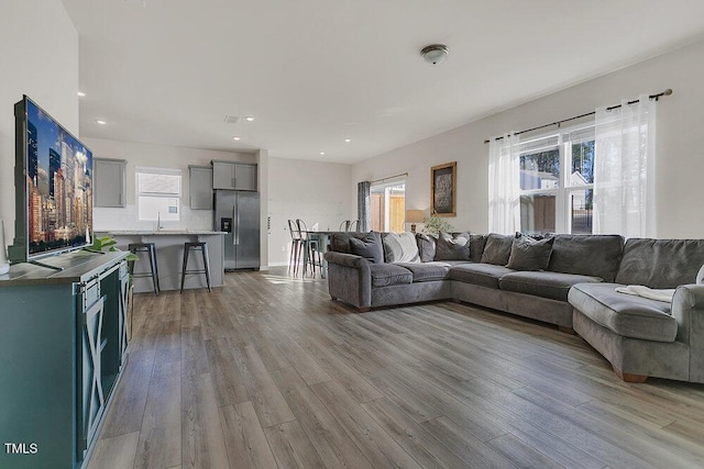 living room featuring light hardwood / wood-style flooring