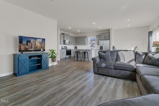 living room with light hardwood / wood-style floors