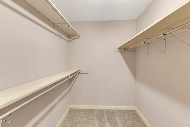 walk in closet with carpet