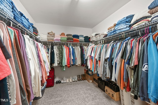 walk in closet featuring carpet