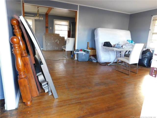 interior space with hardwood / wood-style flooring and ornamental molding