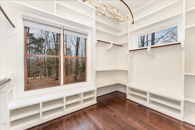 walk in closet with dark hardwood / wood-style floors and a notable chandelier