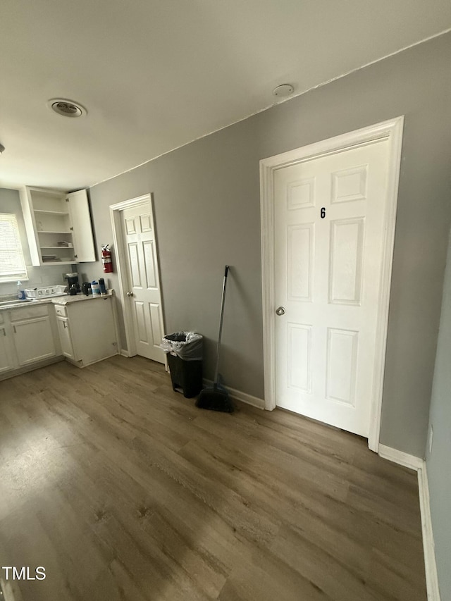 interior space featuring dark wood-type flooring and sink