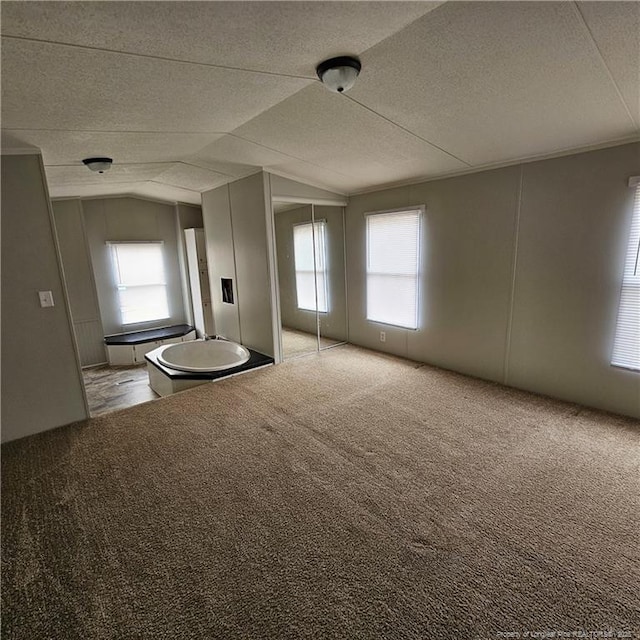 spare room featuring lofted ceiling, carpet floors, and a textured ceiling